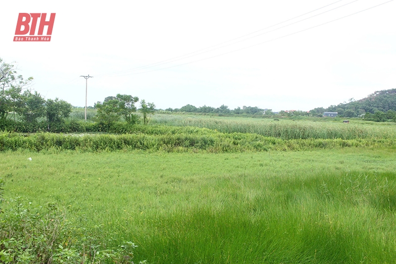 Cơ chế “trói buộc” nông nghiệp - “Xé rào” để đột phá (Bài 1): “Bờ xôi ruộng mật” bỏ hoang khắp nơi