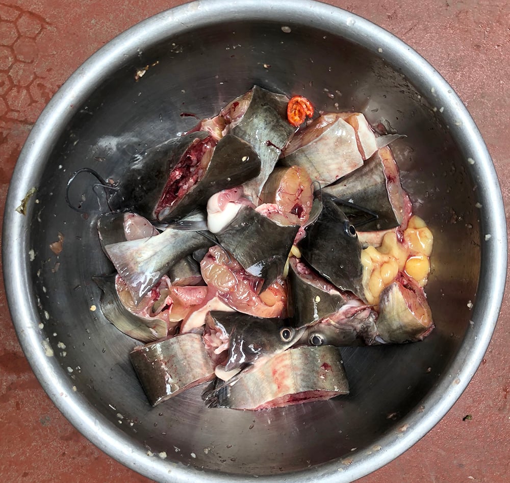 Unique braised catfish with eggplant