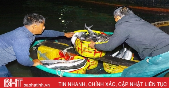 Ngư dân Cẩm Nhượng trúng đậm hải sản