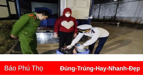 Tiêu hủy trên 750kg sản phẩm động vật không rõ nguồn gốc