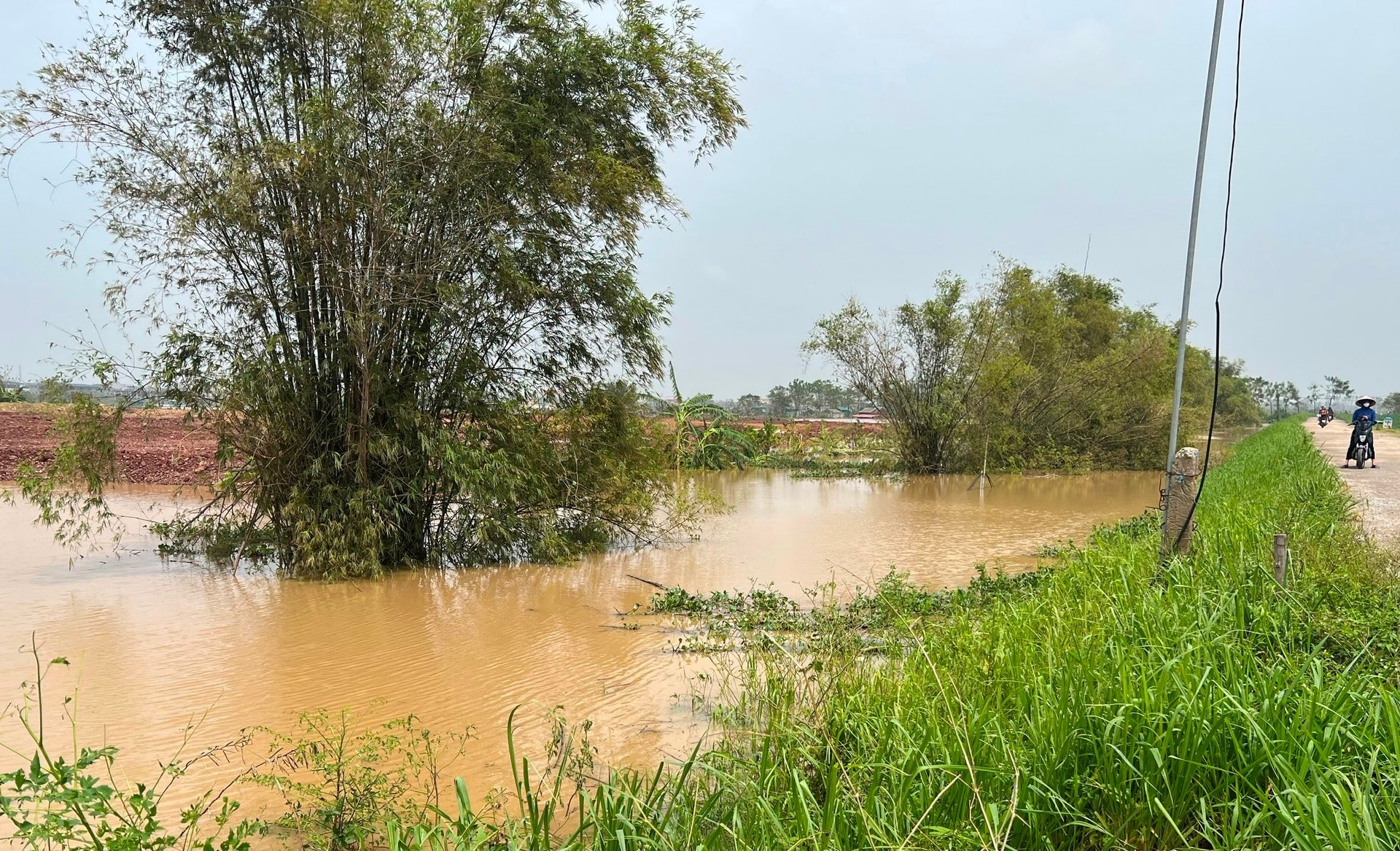 Hai Duong propose au gouvernement central de gérer 10 incidents sur les digues