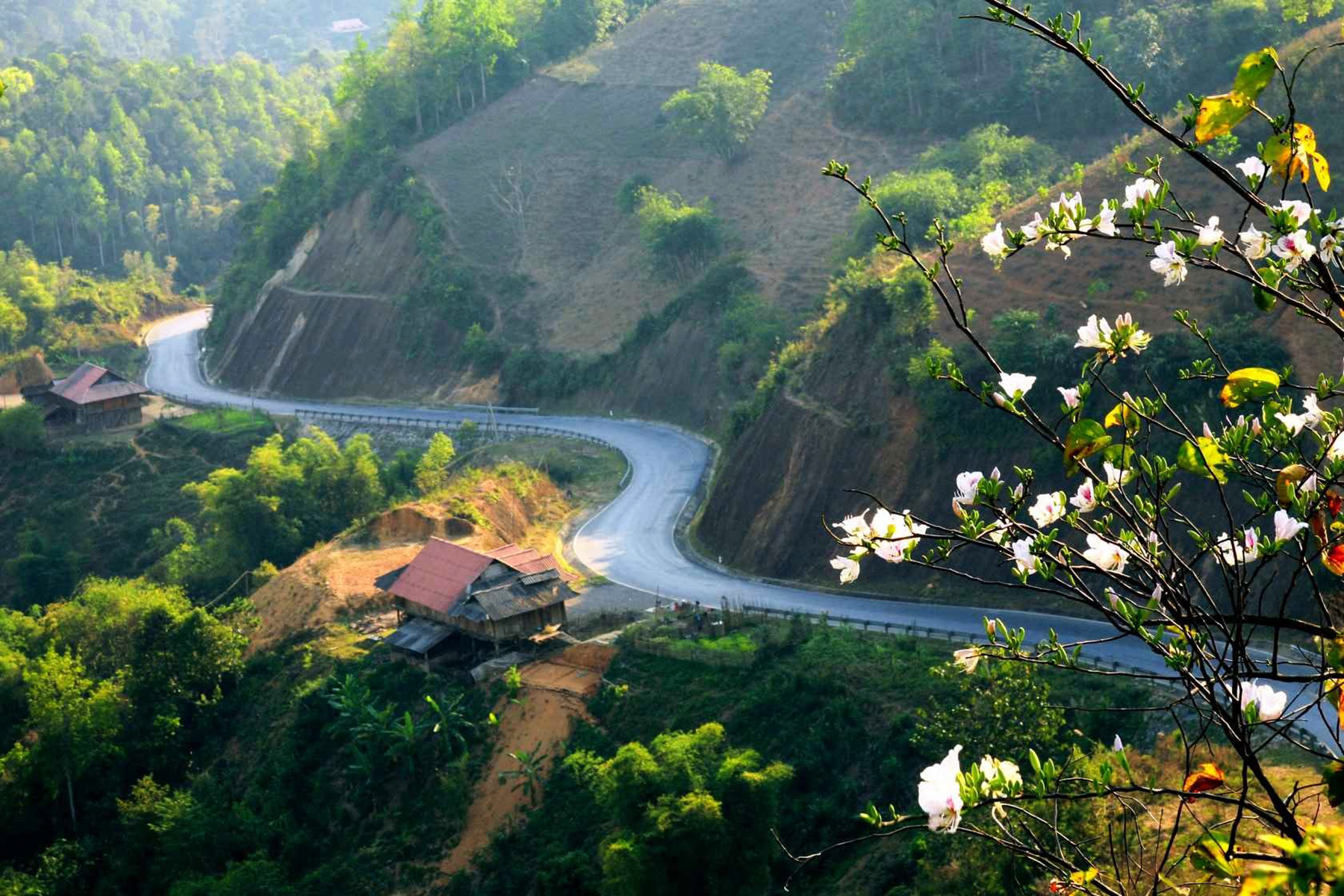 Cẩm nang du lịch Điện Biên