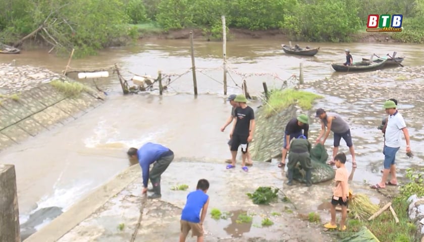 Thuy Truong: Focus on restoring seafood production after the storm