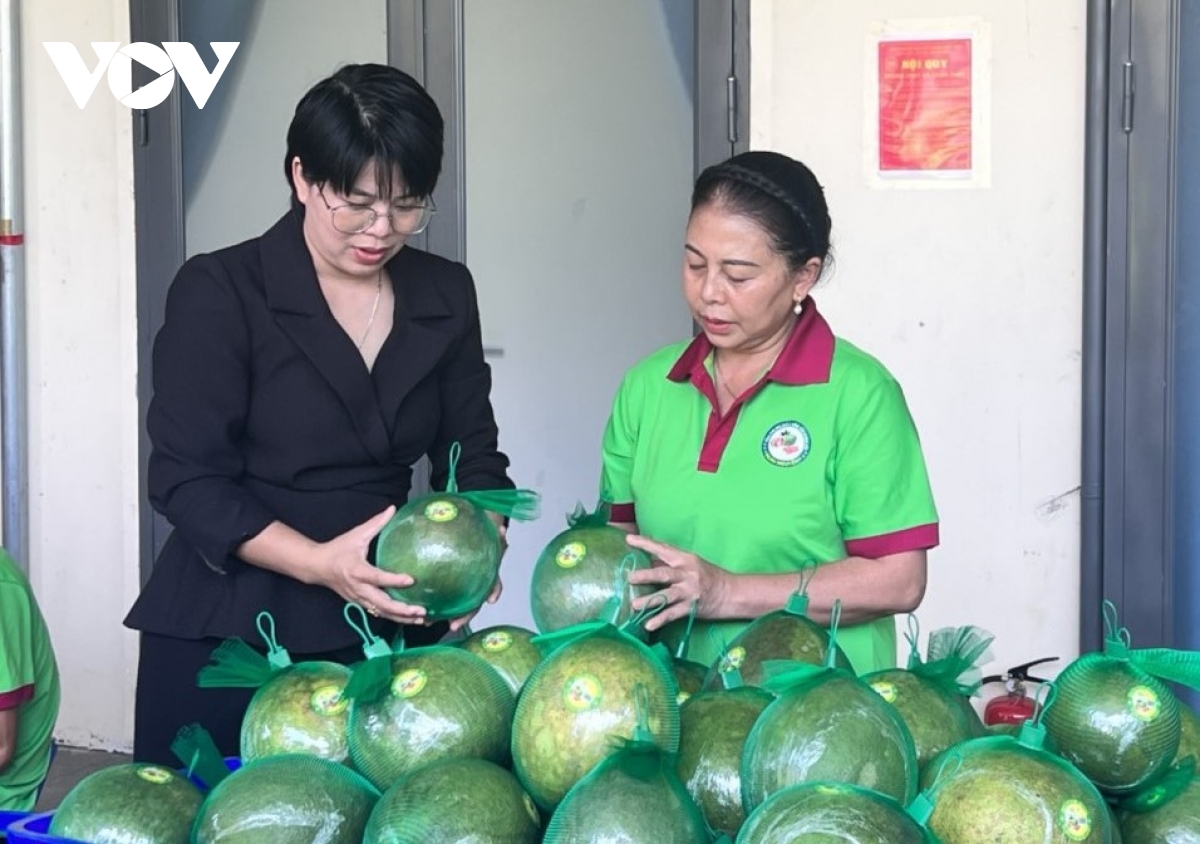 Dua sau rieng, buoi da xanh mien nui len san thuong mai dien tu hinh anh 2