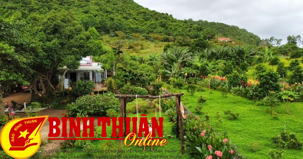 Farm Homestay Hồ núi đất – “Điểm hẹn” du lịch mùa xuân