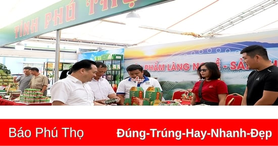 Toàn tỉnh có 306 sản phẩm, nhóm sản phẩm đạt hạng OCOP