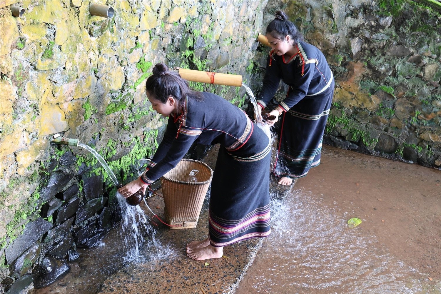 Thiếu nữ lấy những bầu nước mát lành mang về buôn