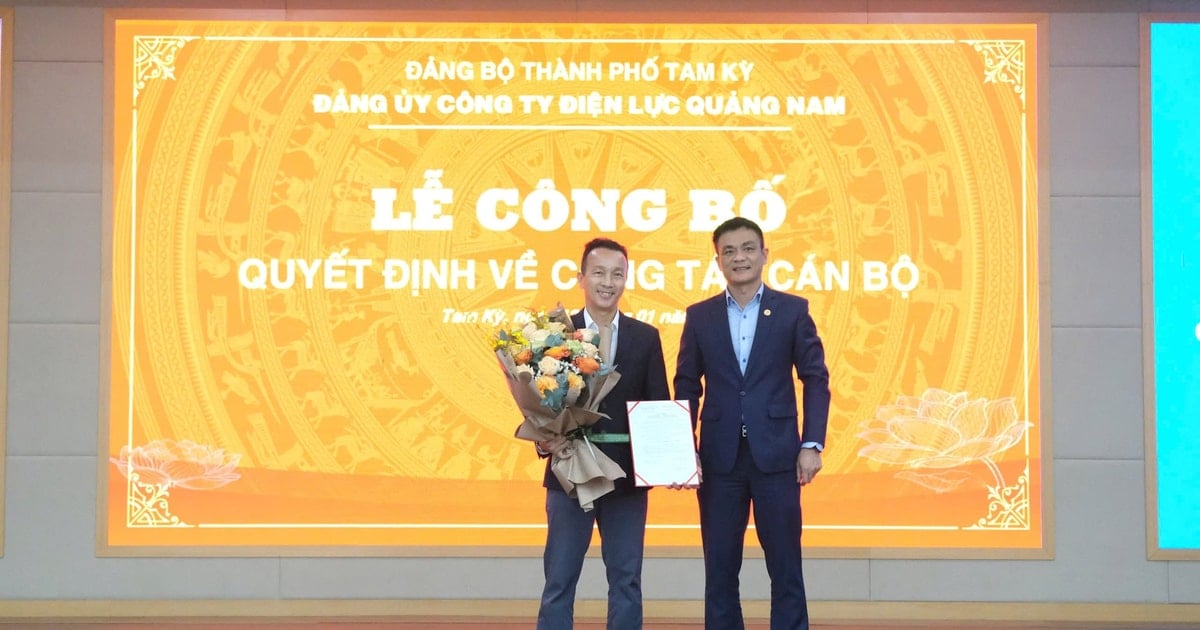 Quang Nam Power Company Party Committee achieved the title of "Excellently completing tasks" in 2024