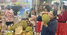 Besucher aus der Provinz Long Khánh und von außerhalb kommen zum Festival, um die dortigen Obstspezialitäten zu besichtigen und zu kaufen.