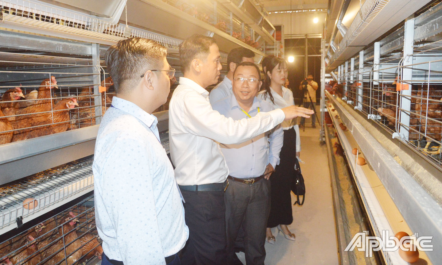 Nam Huong Poultry Breeding Company Limited invierte en la ganadería en la dirección de la automatización asociada con TXNG.