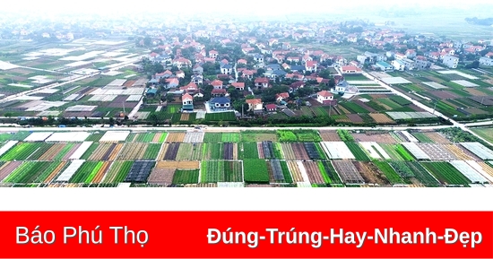 រូបភាពចម្រុះពណ៌នៅលើវាល Tu Xa