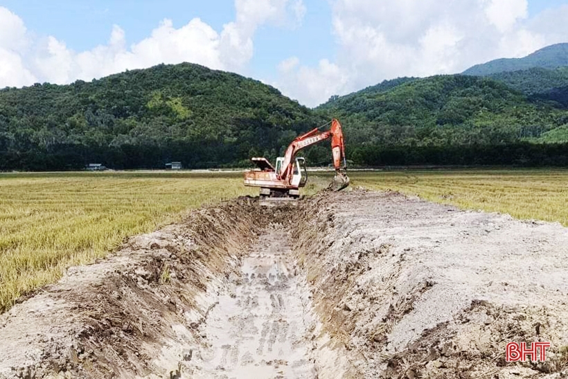 Tân Lộc hướng tới mục tiêu mỗi hộ chỉ sản xuất một thửa ruộng quy mô lớn