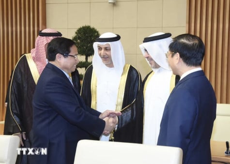 Promoting the realization of high-level agreements between Vietnam and Saudi Arabia, UAE, Qatar