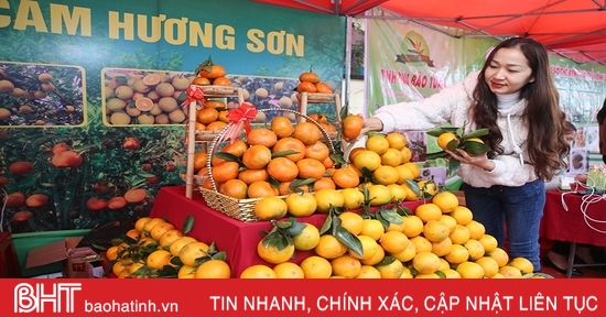 Lễ hội cam và các sản phẩm nông nghiệp Hà Tĩnh được tổ chức từ 24-26/11