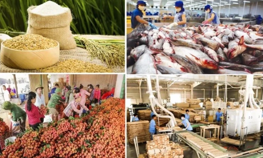 Agricultural, forestry and fishery trade surplus reaches record of nearly 18 billion USD