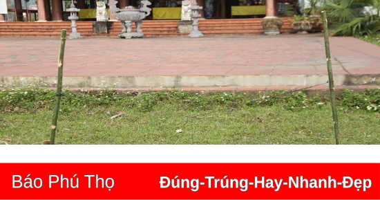 Tiếng vọng văn hóa Mường