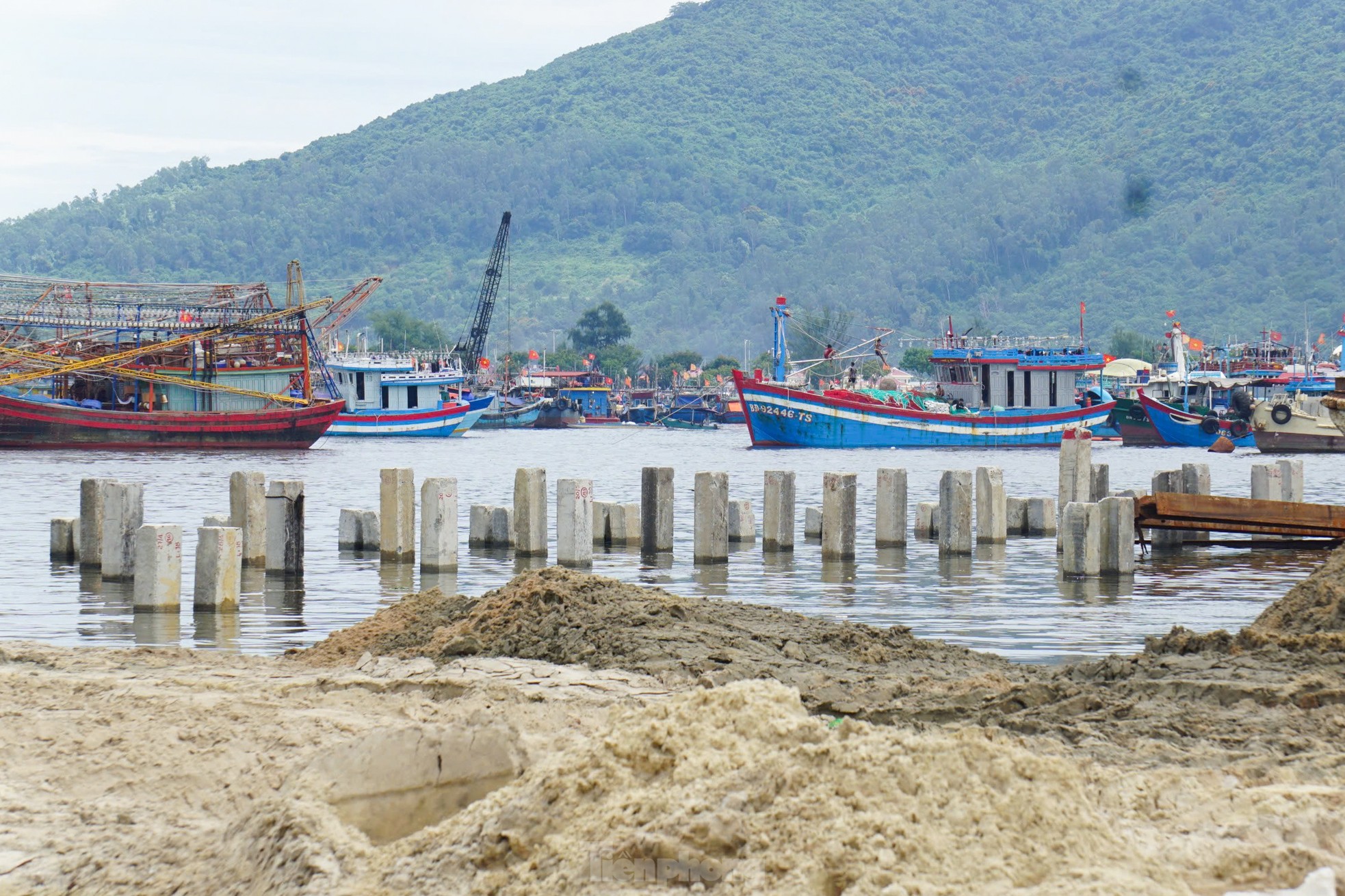 ទិដ្ឋភាព​បិទ​ការដ្ឋាន​សាង​សង់​មជ្ឈមណ្ឌល​ជលផល Da Nang ធំ រូបថត ៦