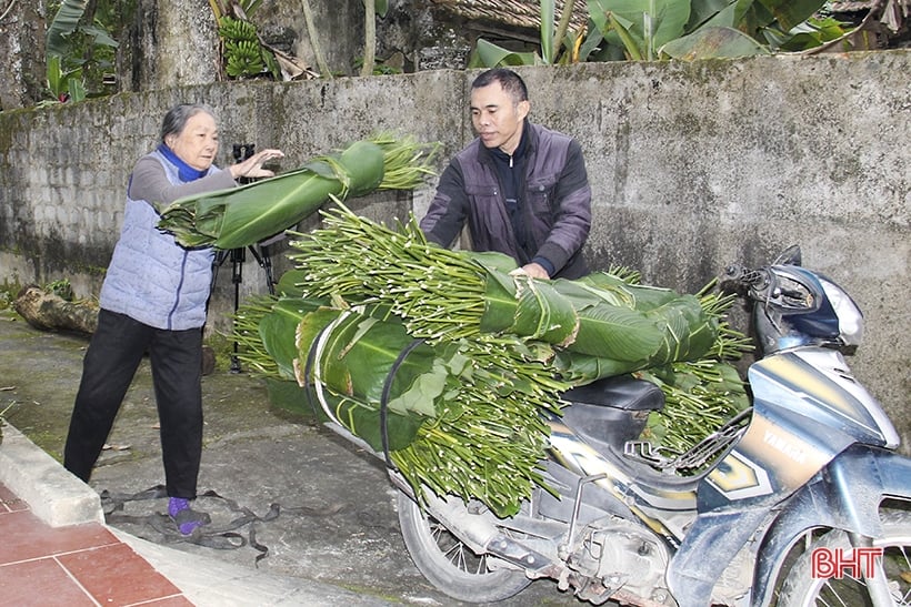 Le plus grand village de feuilles de dong à Ha Tinh est occupé avec la saison des récoltes.