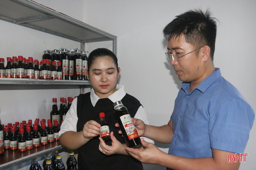 Unique species of water bugs raised in Ha Tinh, priced at hundreds of thousands a pair