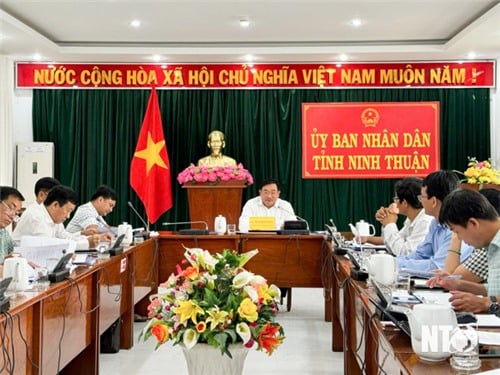 Họp Hội đồng thẩm định Mô hình thí điểm xã thương mại điện tử Phước Thuận