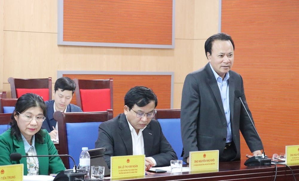 Comrade Nguyen Nam Dinh - Member of the Provincial Party Committee, Permanent Vice Chairman of the Provincial People's Council spoke at the meeting.