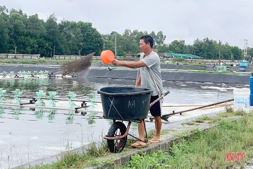 កសិករ​បង្ការ​ជំងឺ​បង្កង​ក្រោយ​ភ្លៀង​ធ្លាក់​ខ្លាំង