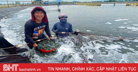 Mô hình nuôi tôm công nghệ tuần hoàn nước lần đầu được áp dụng thành công ở Kỳ Anh