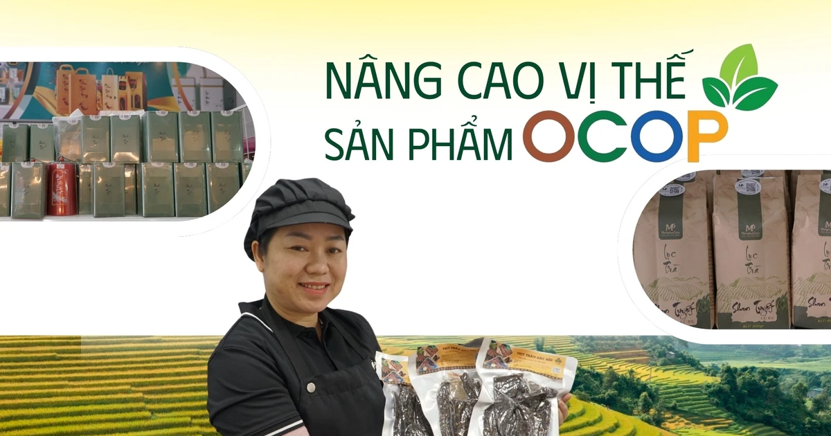 https://baolaocai.vn/bat-xat-nang-cao-vi-the-san-pham-ocop-post395389.html