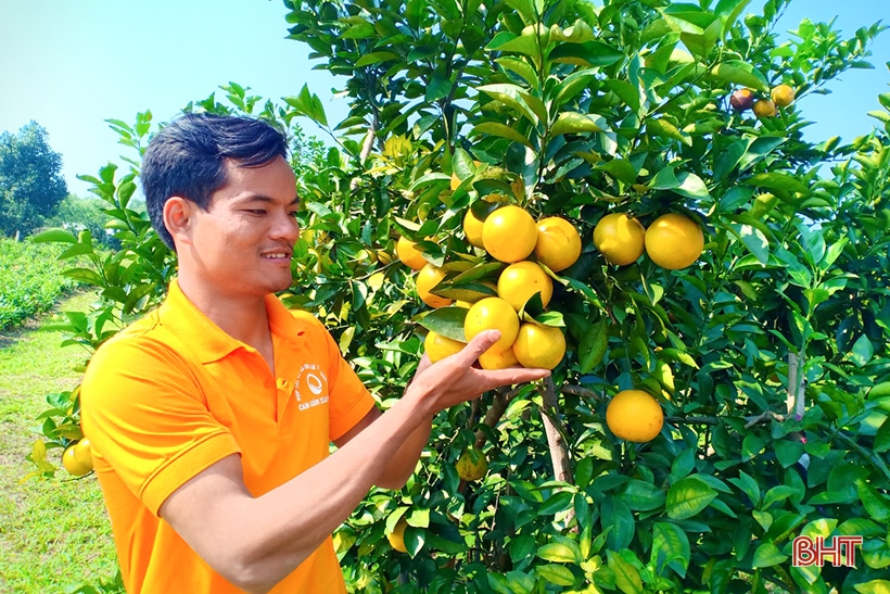 Sản phẩm OCOP ở Can Lộc “đắt hàng” trong dịp tết