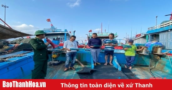 Thanh Hoa anuncia una lista de 506 buques pesqueros con alto riesgo de violar la pesca INDNR