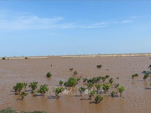 بنك التنمية الآسيوي يواصل دعم فيتنام في الاستجابة لتغير المناخ