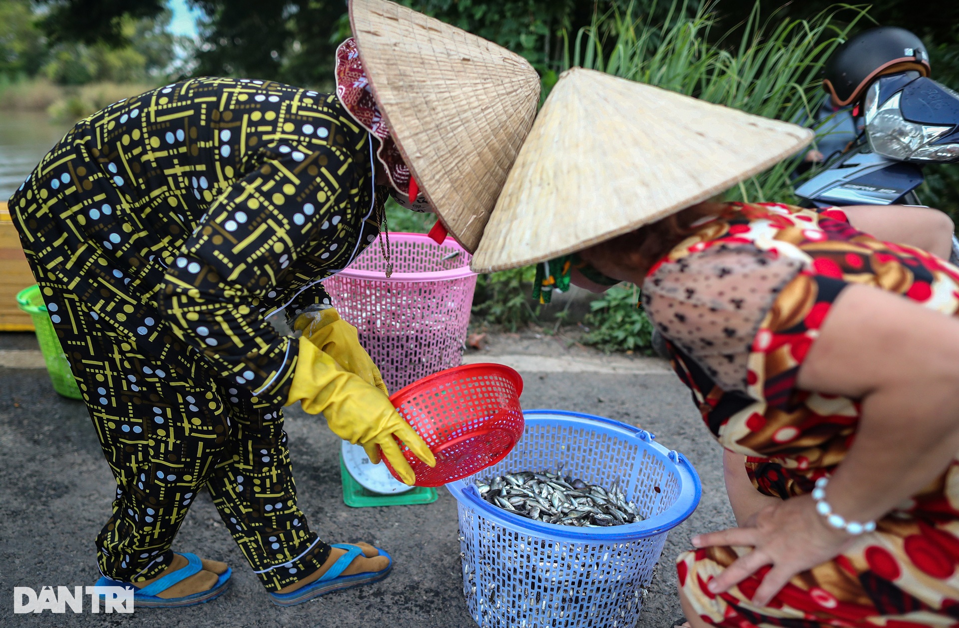 Trắng đêm săn sản vật mùa nước nổi ở miền Tây - 16