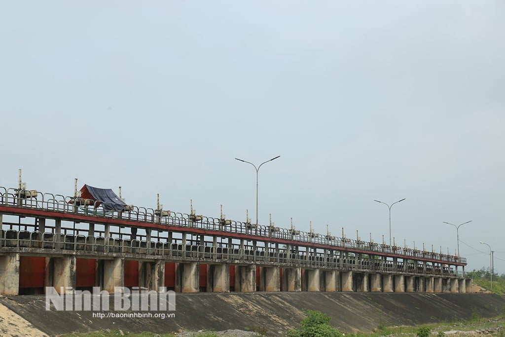 ក្រុមហ៊ុន Irrigation Works Exploitation Company Limited ដាក់ពង្រាយដំណោះស្រាយឆ្លើយតបយ៉ាងសកម្មក្នុងរដូវវស្សា និងព្យុះ