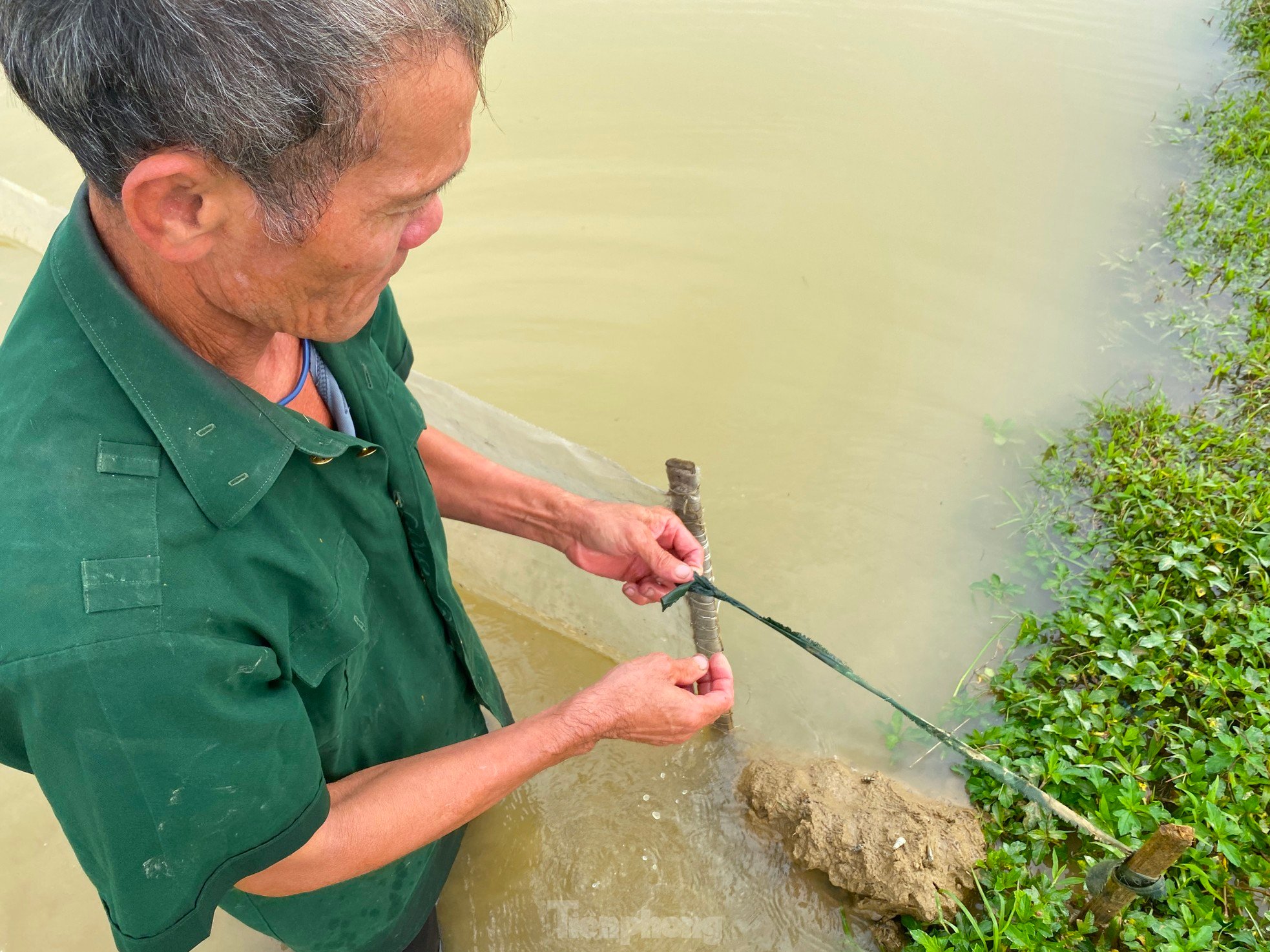 Người dân dựng cọc, chăng lưới chờ vớt 'lộc trời' ảnh 5