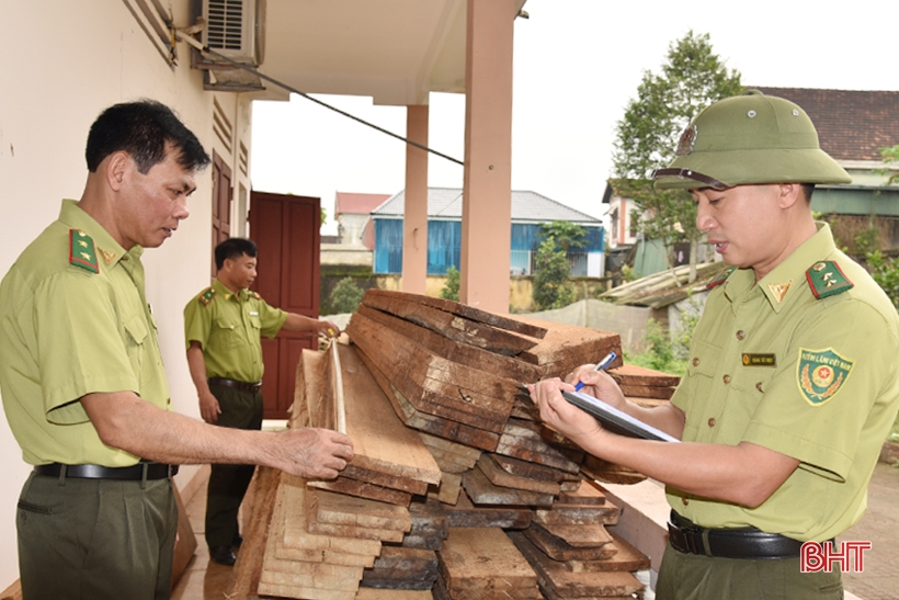 Cho những cánh rừng Hà Tĩnh thêm xanh