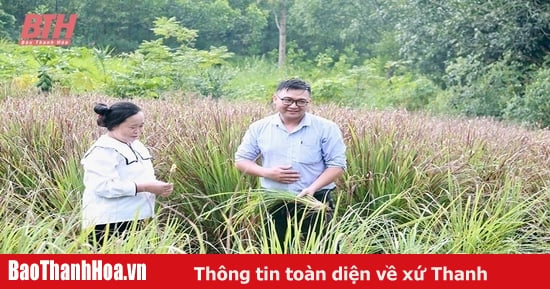 “Ngân hàng tại làng”