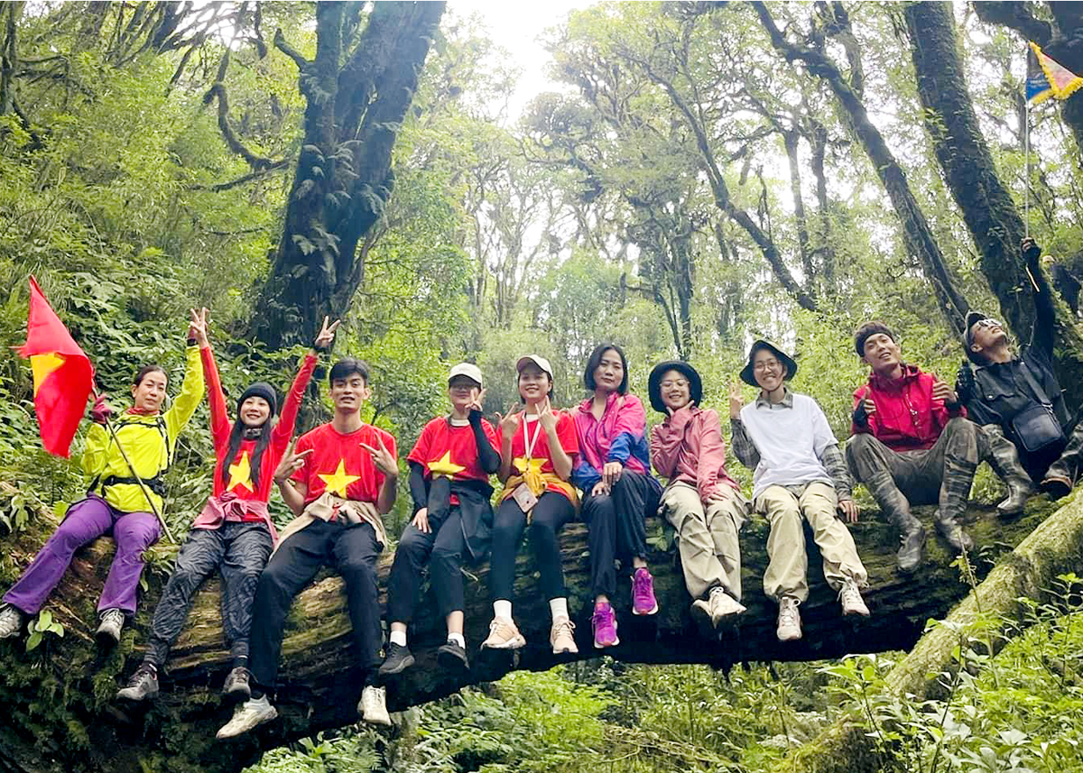 해발 2,400m가 넘는 타이콘린 산 정상을 정복해보세요.