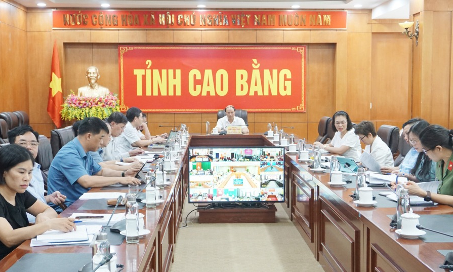 Chính phủ họp trực tuyến với các địa phương về Nghị định quy định về đất trồng lúa