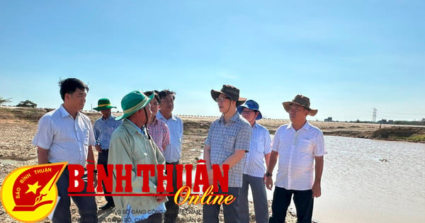 Chairman of the Provincial People's Committee inspects drought prevention and forest fire prevention in Ham Thuan Nam