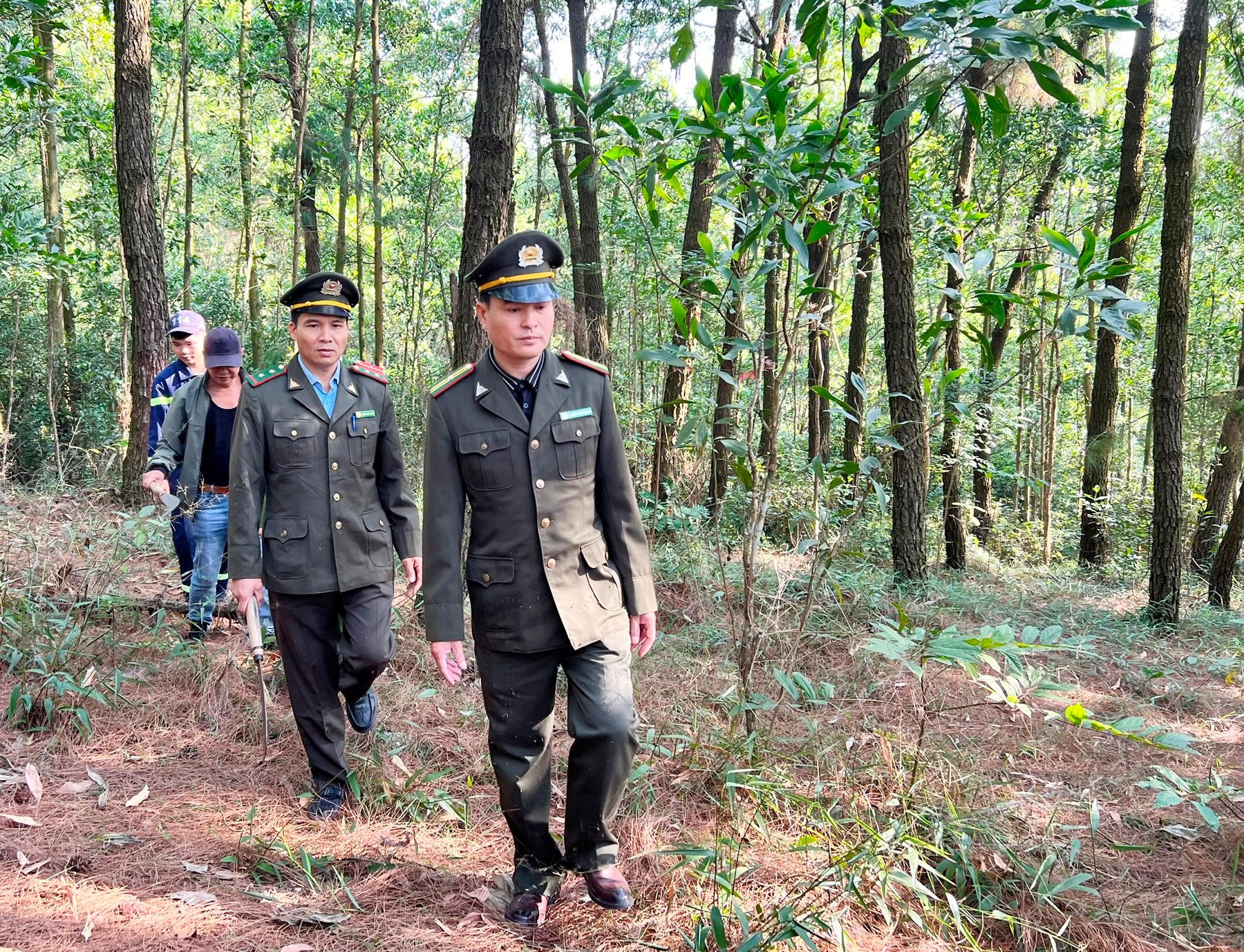 Hai Duong warnt vor gefährlichen Waldbränden