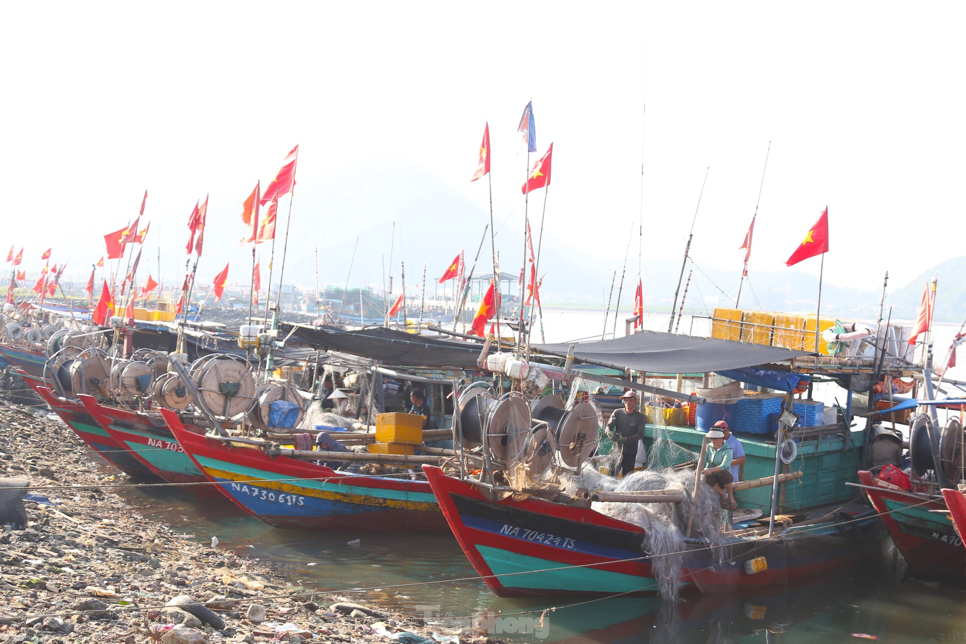 Giăng lưới săn ghẹ, ngư dân kiếm tiền triệu mỗi ngày ảnh 1