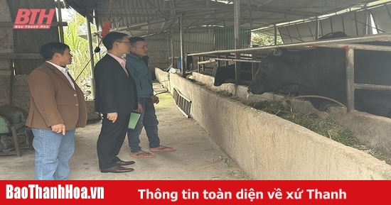 Hỗ trợ giảm lãi suất cho vay đối với khách hàng bị ảnh hưởng của bão số 3