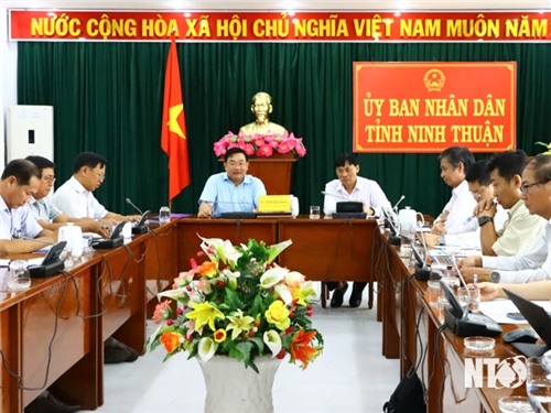 Provincial People's Committee leaders work with Southern Power Corporation