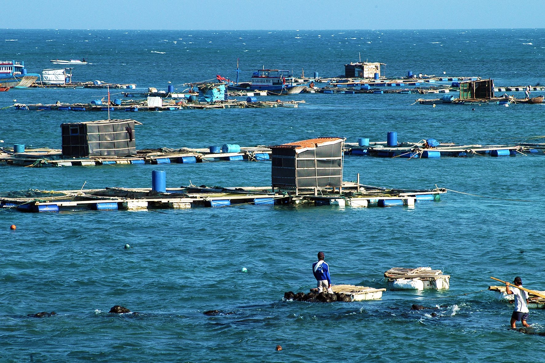 Aquaculture avec des dragons à Phu Quy Anh, n.lan-1.jpg