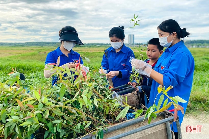 สมาชิกสหภาพเยาวชนห่าติ๋ญกว่า 4,000 คนตอบรับกิจกรรมวันอาทิตย์สีเขียวครั้งที่ 4