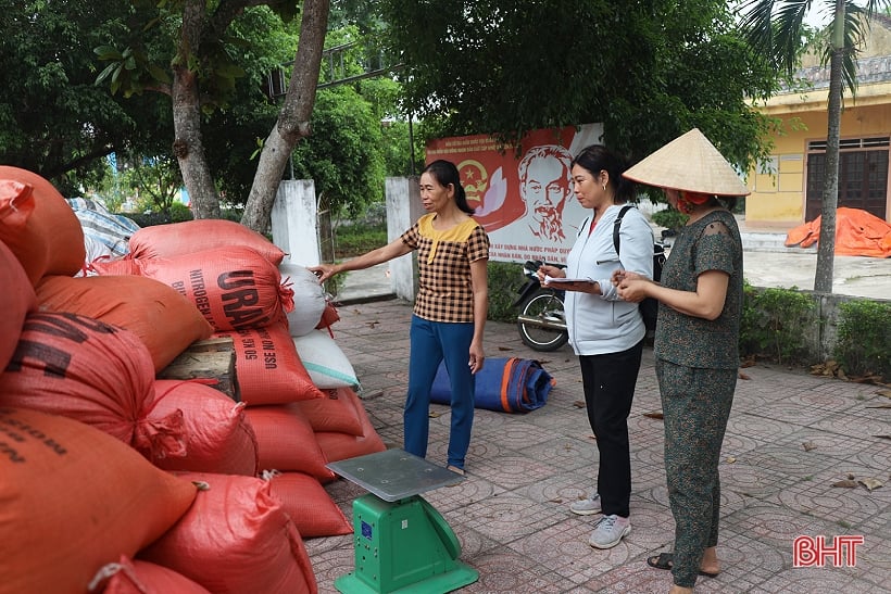 Summer-autumn rice prices increase, easy to sell, Ha Tinh farmers are happy