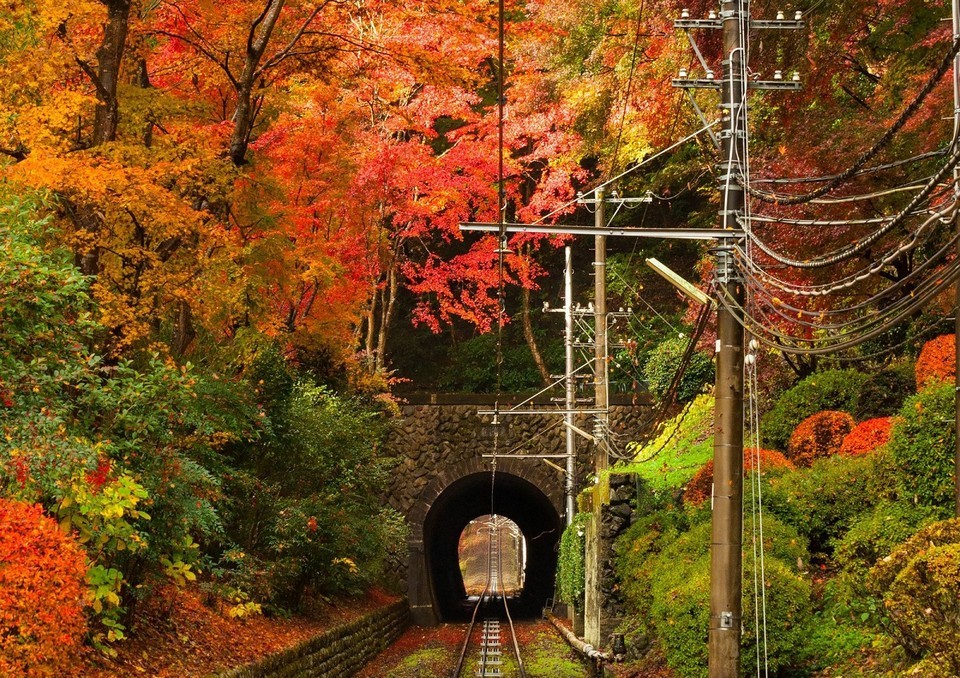 Drei Herbstwanderrouten in Japan