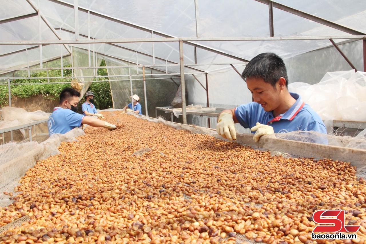 Preserving and promoting cultural values in OCOP products