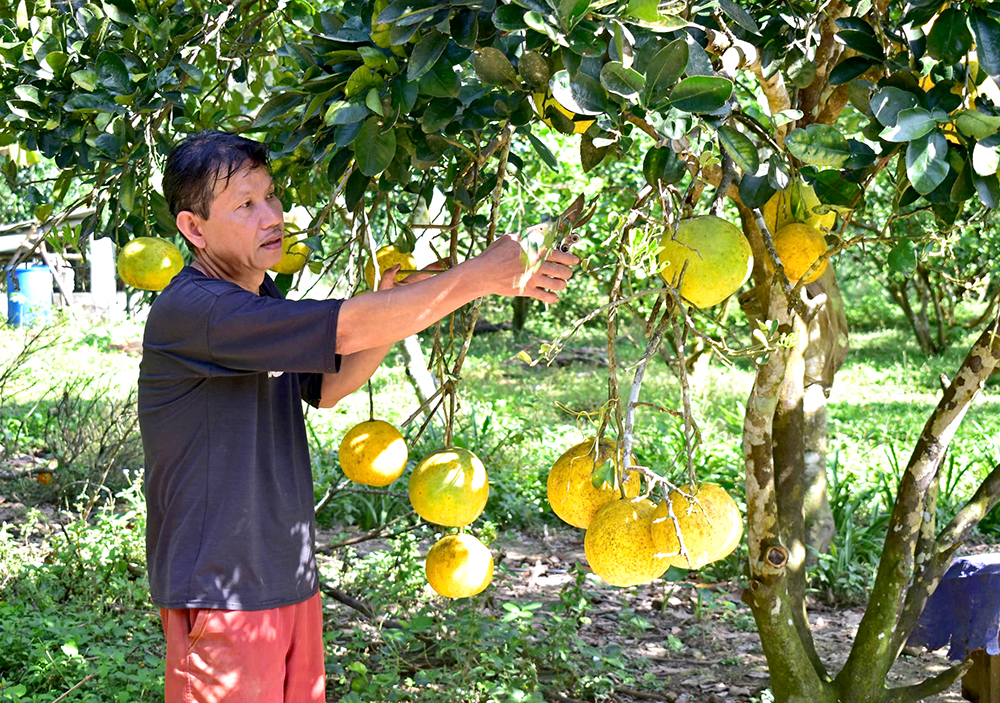 Yen Luong ខំប្រឹងរត់គេចពីភាពក្រីក្រ