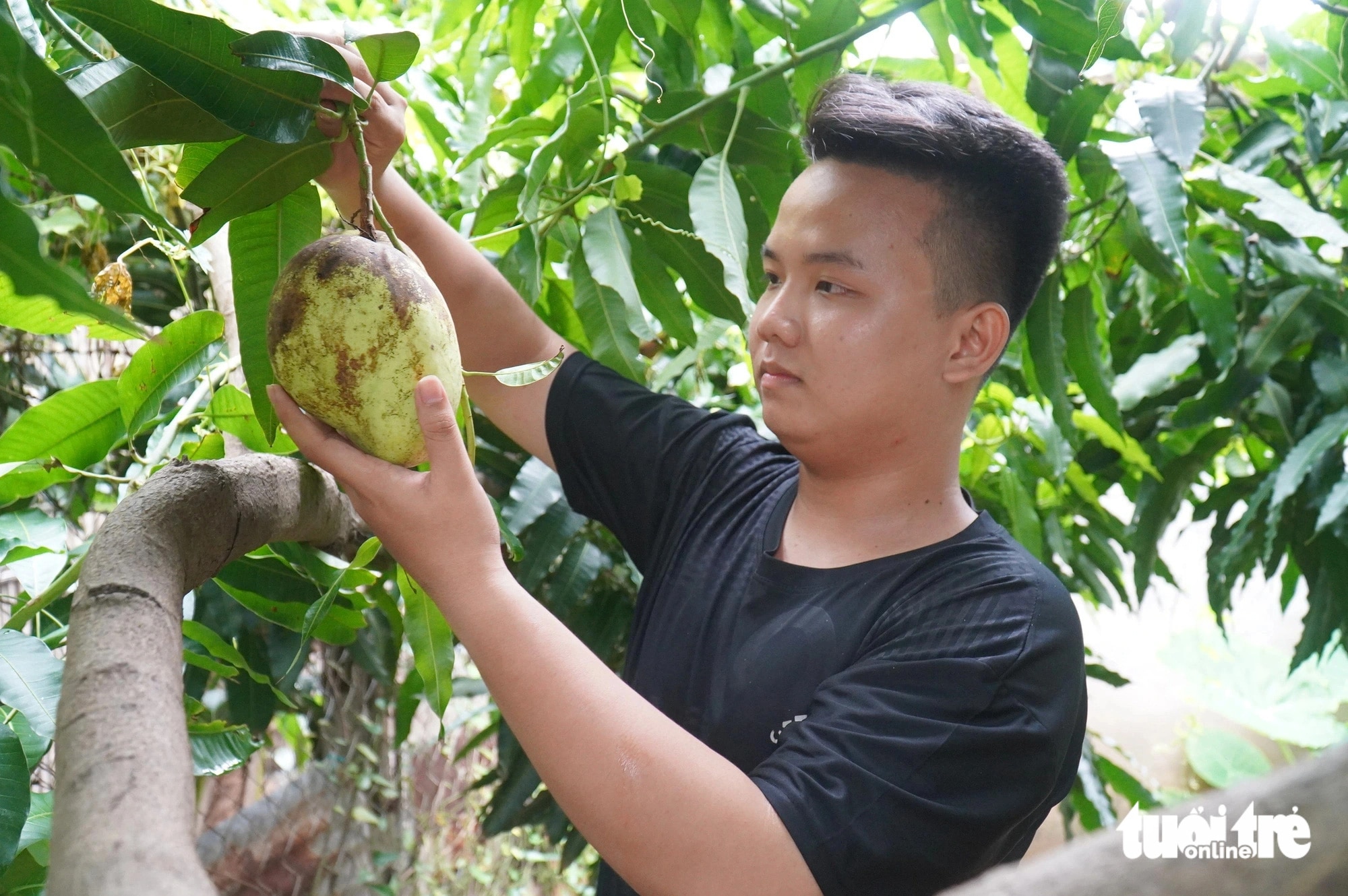   Bí thư đoàn trường đam mê nghiên cứu khoa học đậu vào 3 trường đại học  - Ảnh 1.